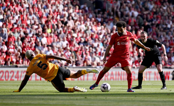 他们有望在 他们有望在